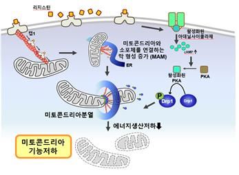 사진제공: 연합뉴스